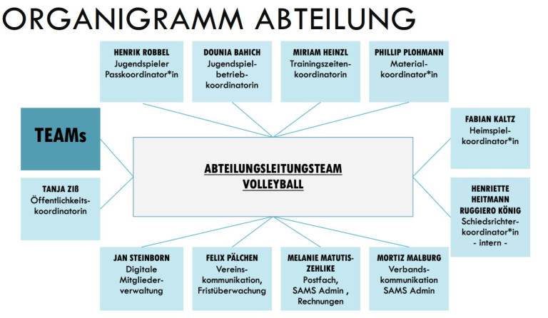 Organigramm des Volleyball Abteilungsleitungsteams mit Verantwortlichen und Aufgabenbereichen