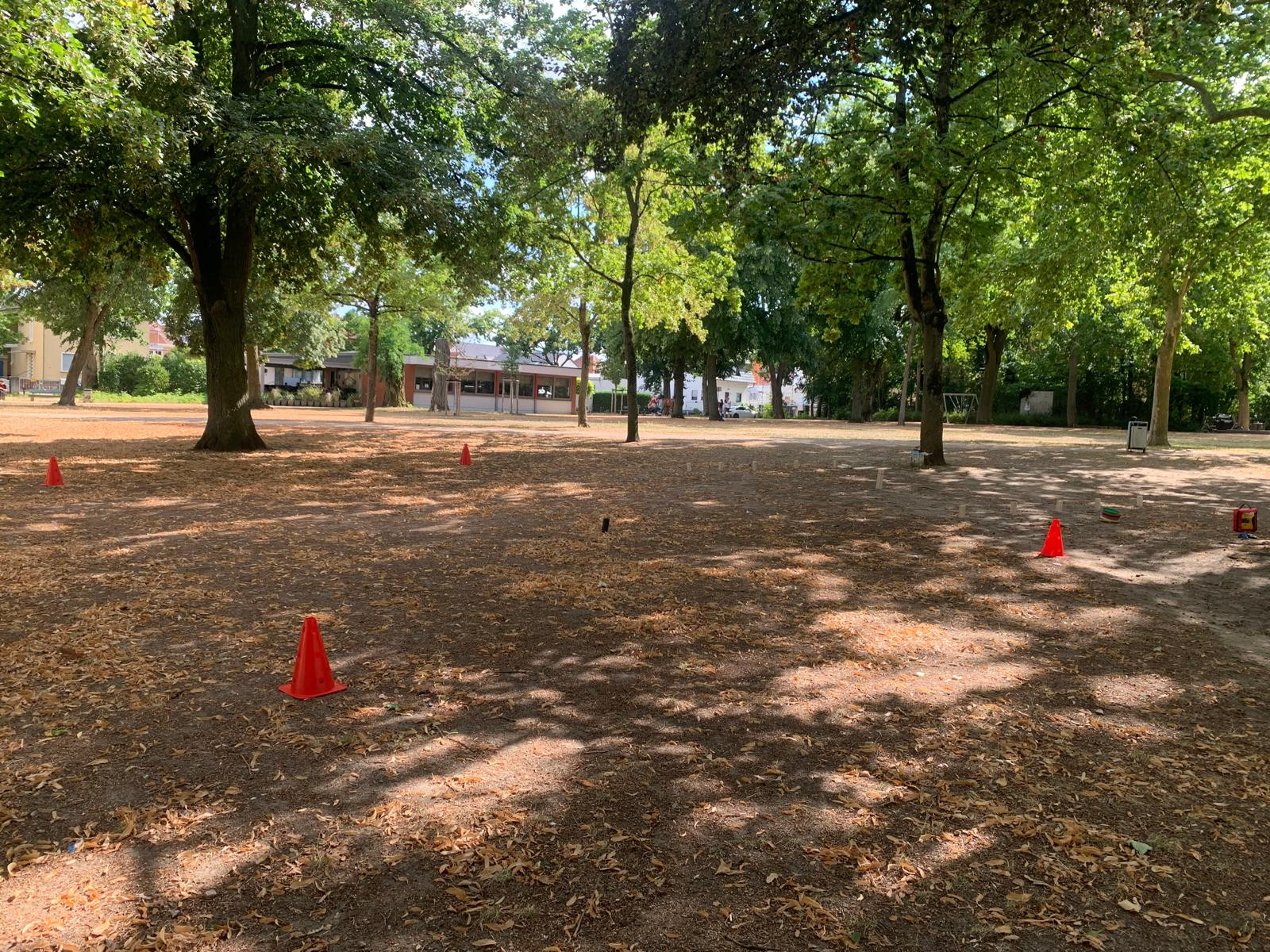 Park mit Bäumen und roten Markierungshütchen an einem sonnigen Tag, aufgenommen am 25.07.2026
