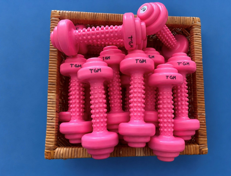 Togu Mini Dumbbell 0,5 kg – 20 Stück in einem Korb, pinke Hanteln für Fitness und Gymnastik