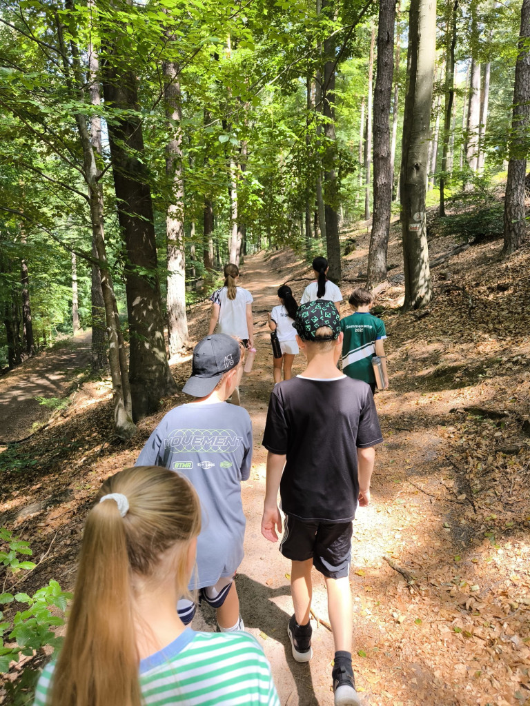 LLZ Sommercamp 2022 – Kinder wandern gemeinsam im Wald Kindergruppe beim Wandern im Wald beim LLZ Sommercamp