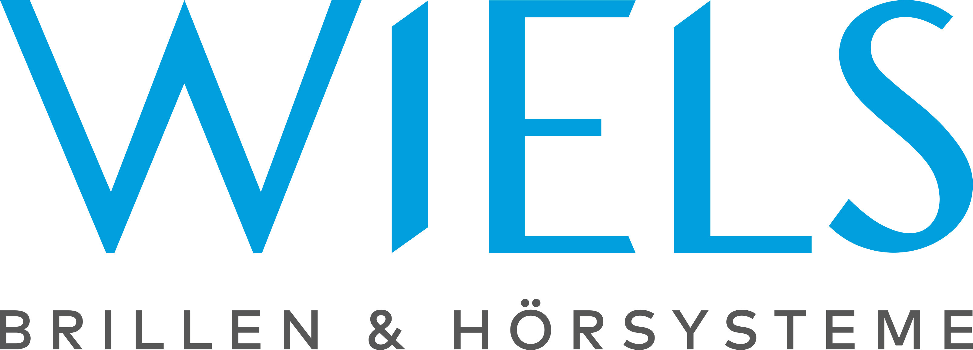 Wiels Logo in Blau und Grau, modernes Design