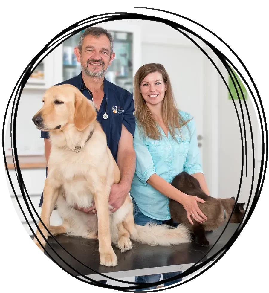 Start-Team mit Hund und Katze in einer Tierarztpraxis