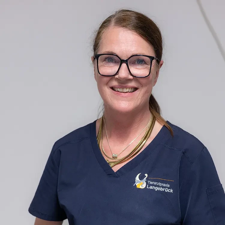 Dr. Ute Kocken