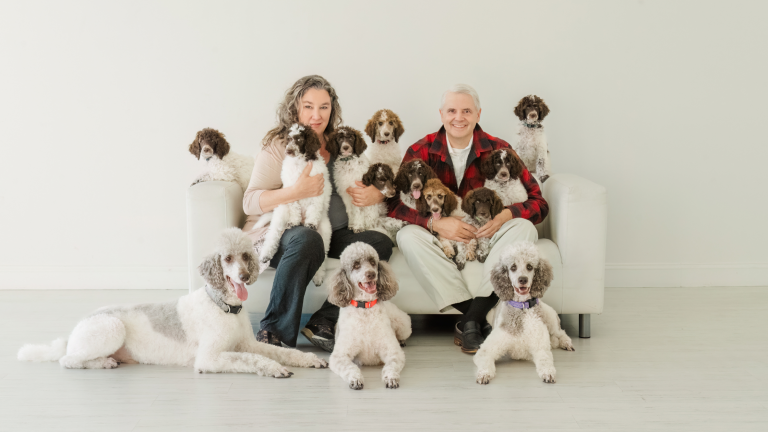 Pudelfamilie: Familienfoto mit mehreren Pudeln auf dem Sofa Pudelfamilie auf dem Sofa – mehrere Pudel mit Menschen, Familienfoto mit Hunden