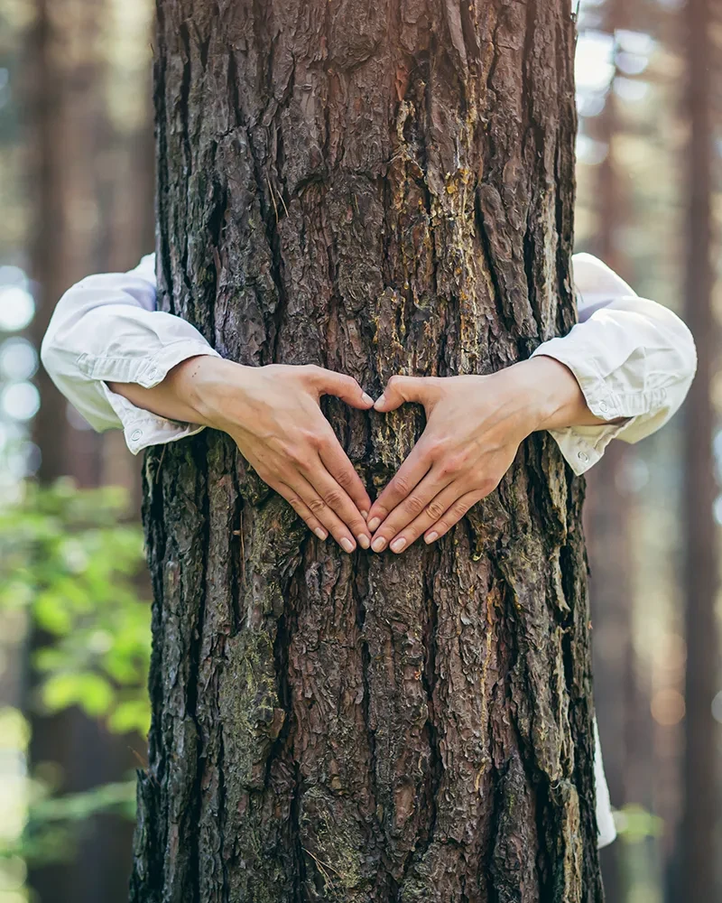 Person umarmt Baum im Wald und formt mit den Händen ein Herz – Symbol für Naturliebe und Umweltschutz