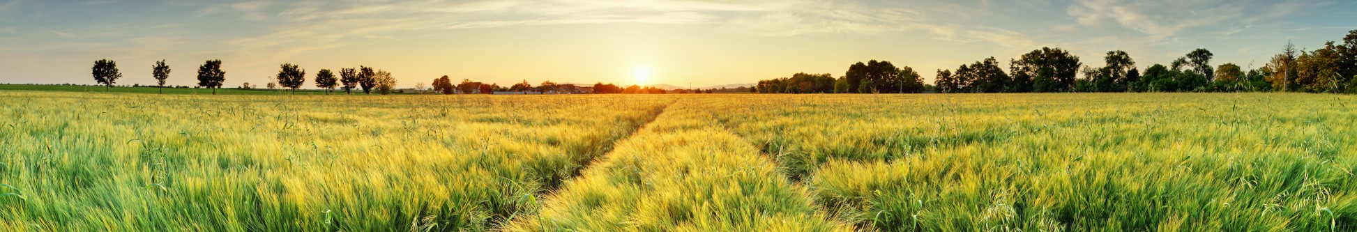 Gesund durch den Berufsalltag