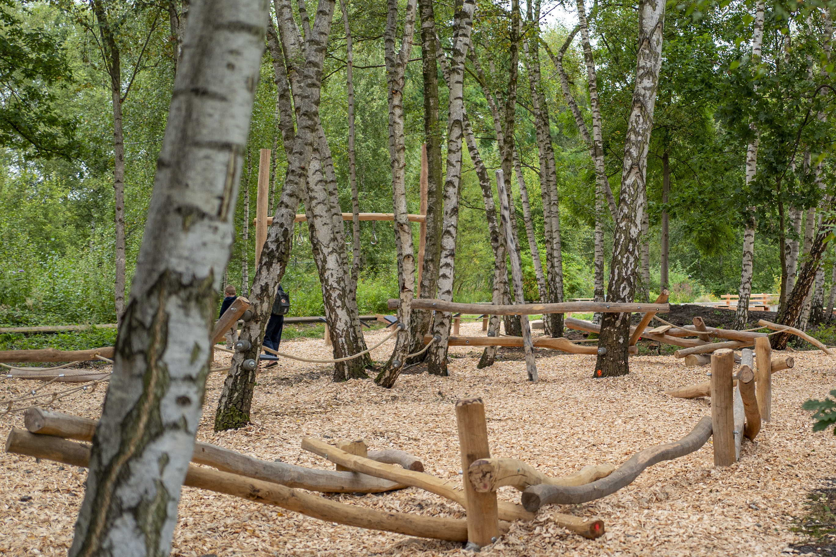 Naturnaher Abenteuerspielplatz im Birkenwald mit Holzspielgeräten und Kletterelementen
