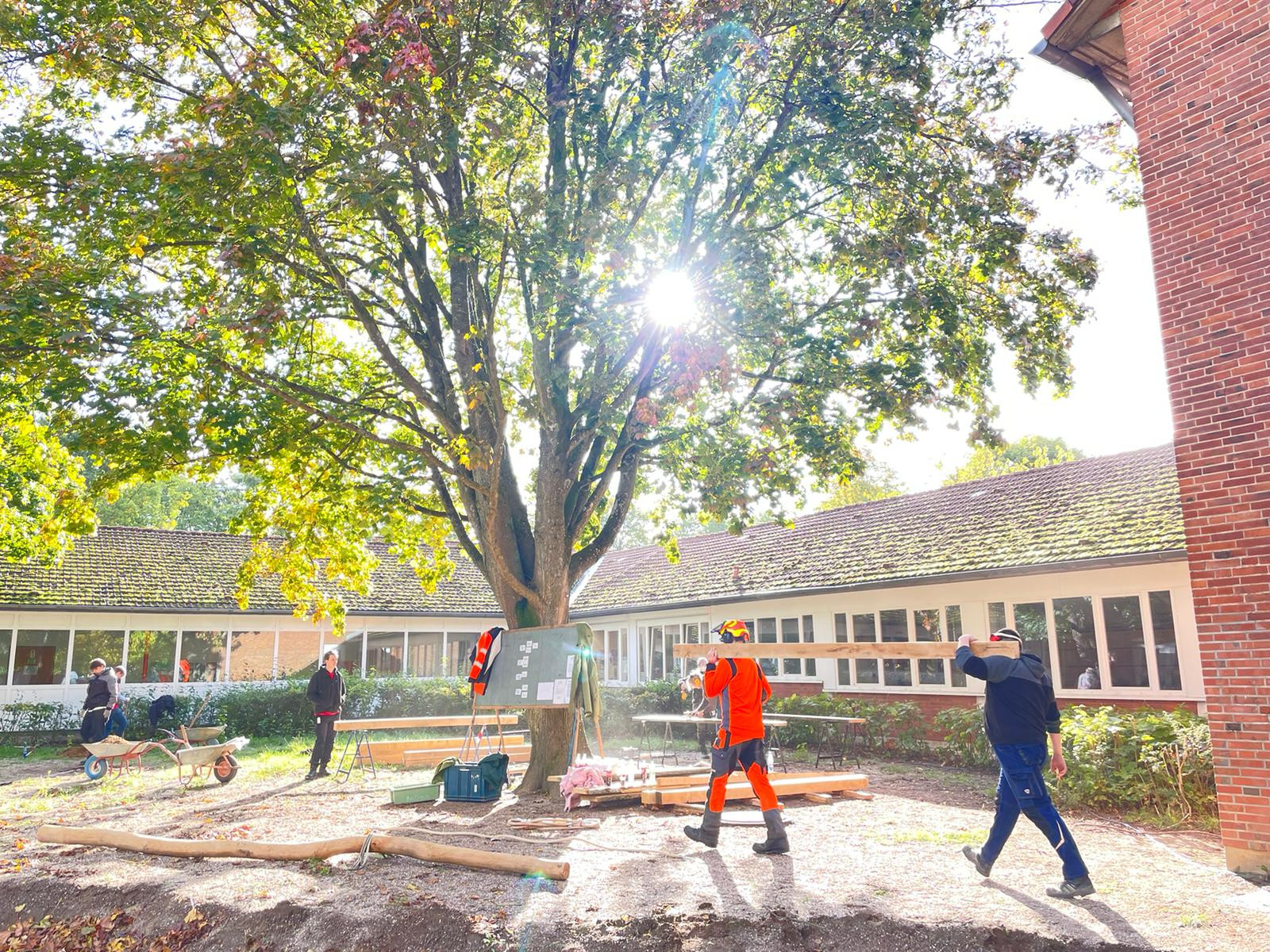 Arbeiter beim Holztransport auf einer sonnigen Baustelle im Innenhof mit großem Baum und Schulgebäude im Hintergrund