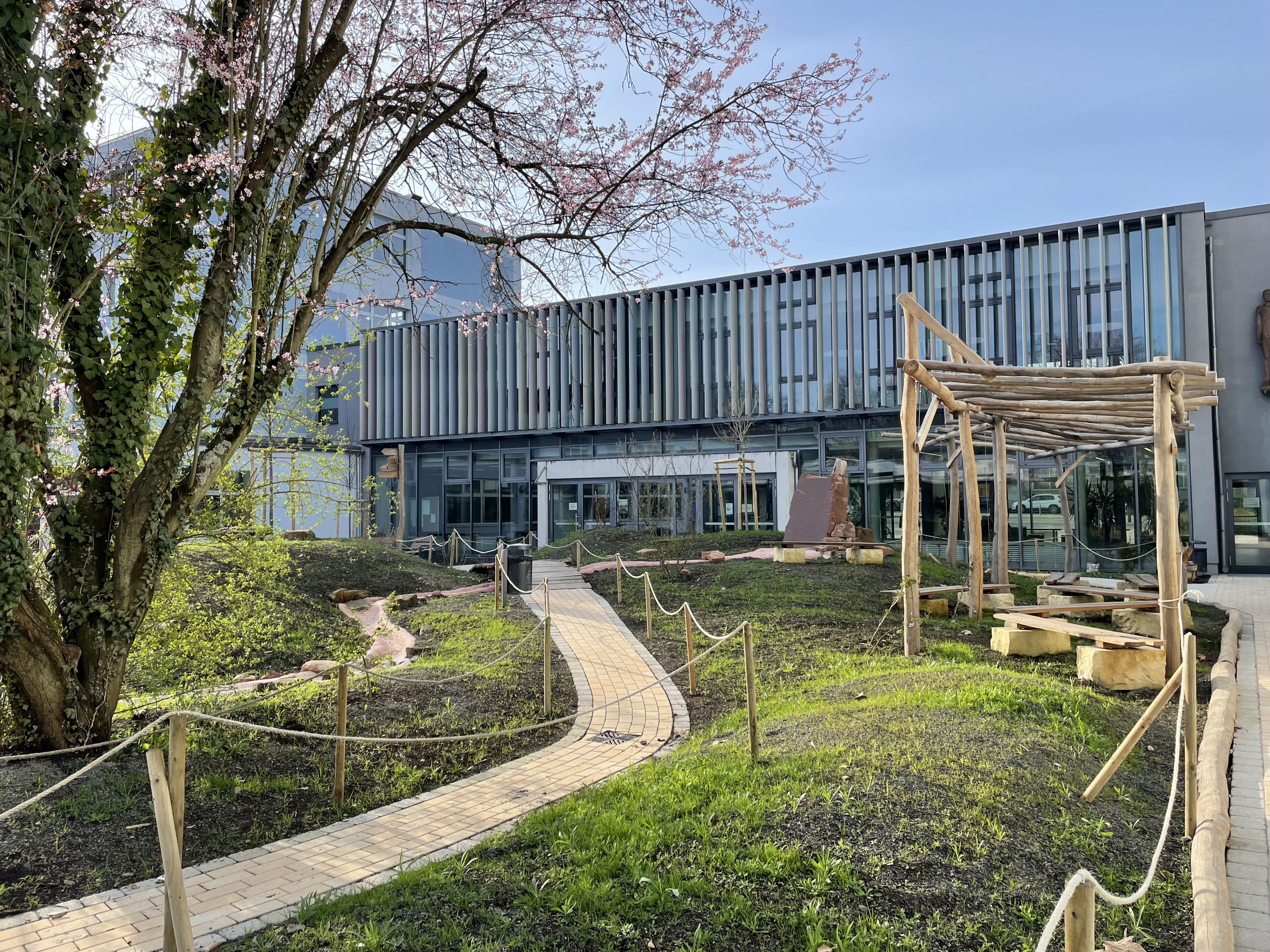 Moderner Gebäudeeingang mit Gartenanlage, blühendem Baum und Holzpergola im Frühling