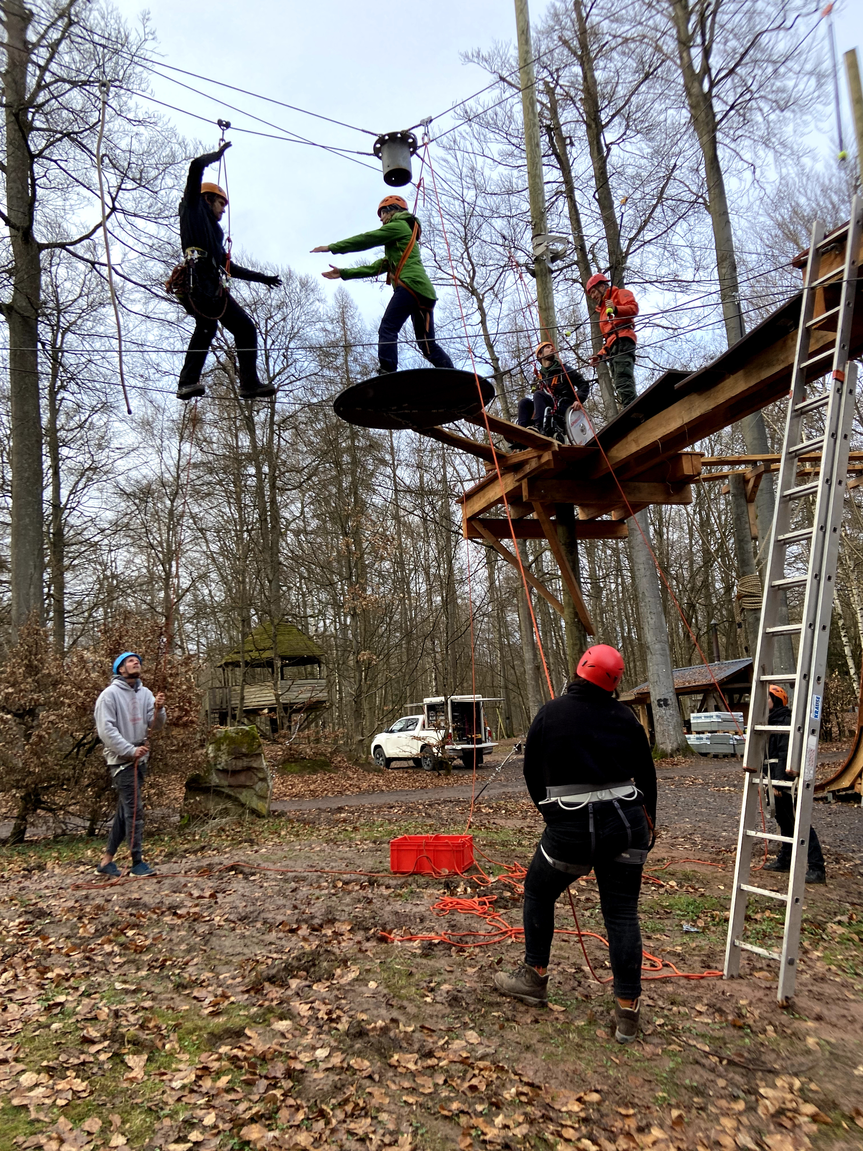 Abenteuer im Hochseilgarten: Menschen beim Klettern und Sichern im Wald