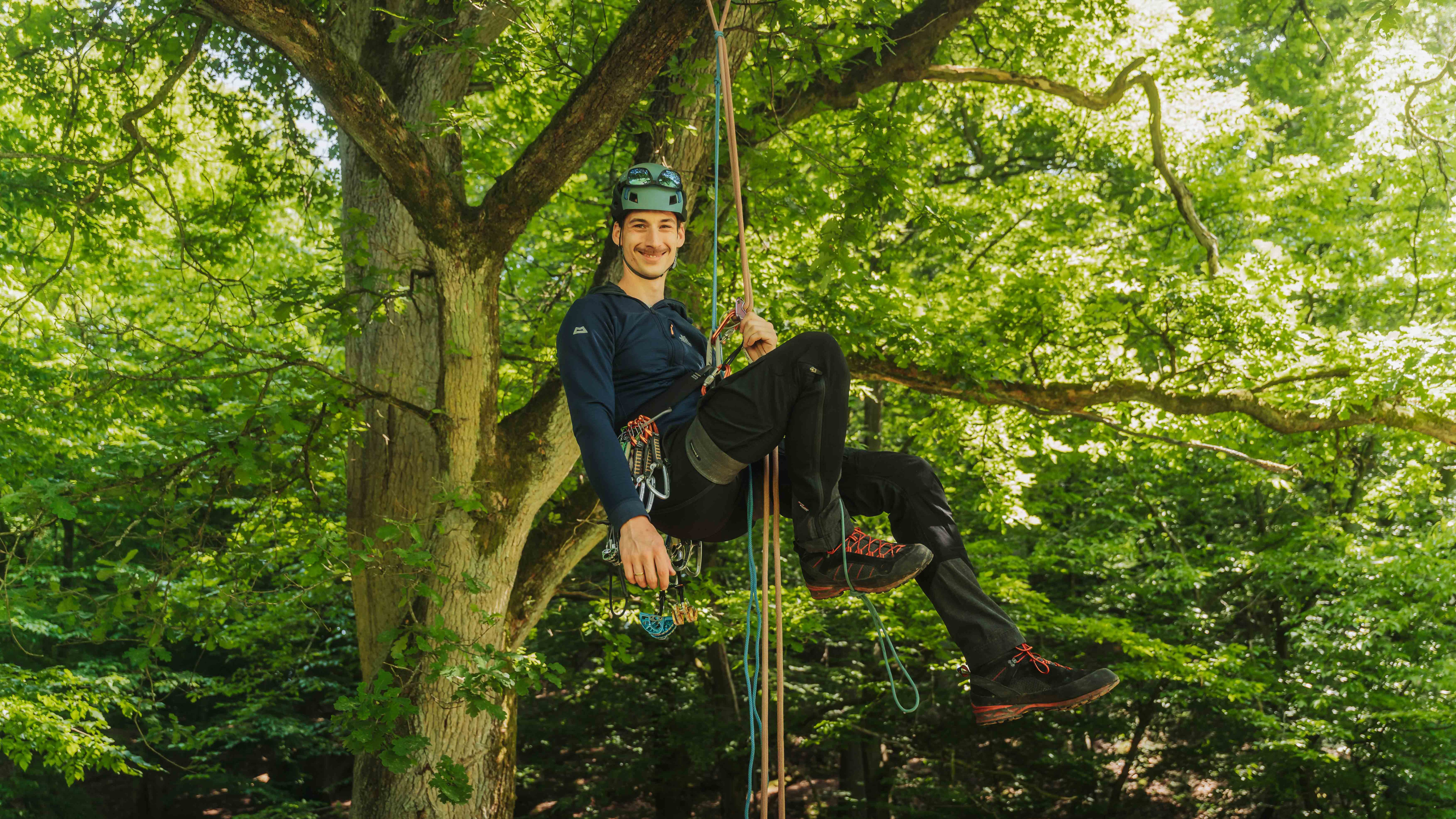 Baumpfleger mit Kletterausrüstung beim Seilklettern im Baum – alea alternativ s 10