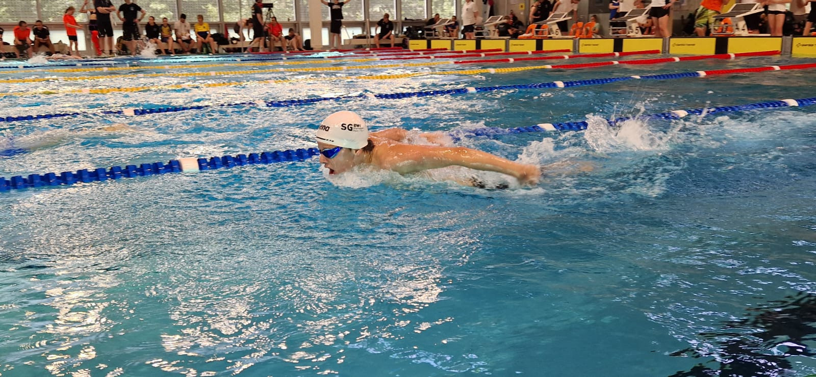 Schwimmer bei einem Wettkampf im Hallenbad, Brustschwimmen, Startnummern und Zuschauer im Hintergrund
