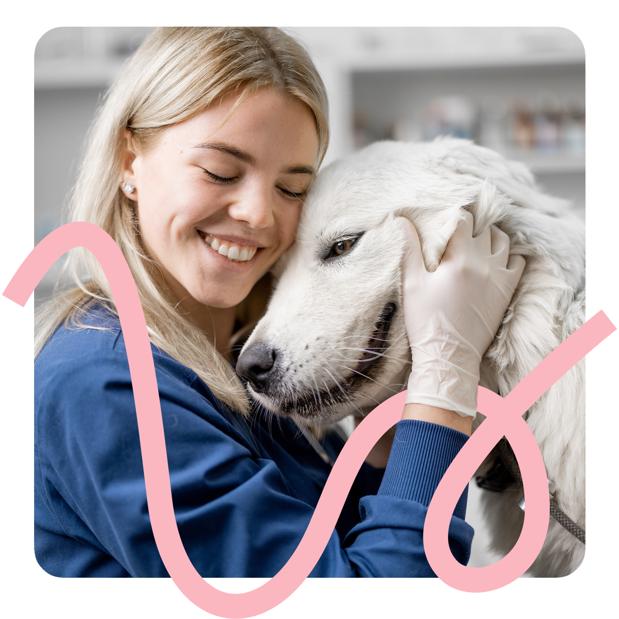 Tierärztin mit Hund in der Praxis – Vecademy Startseite