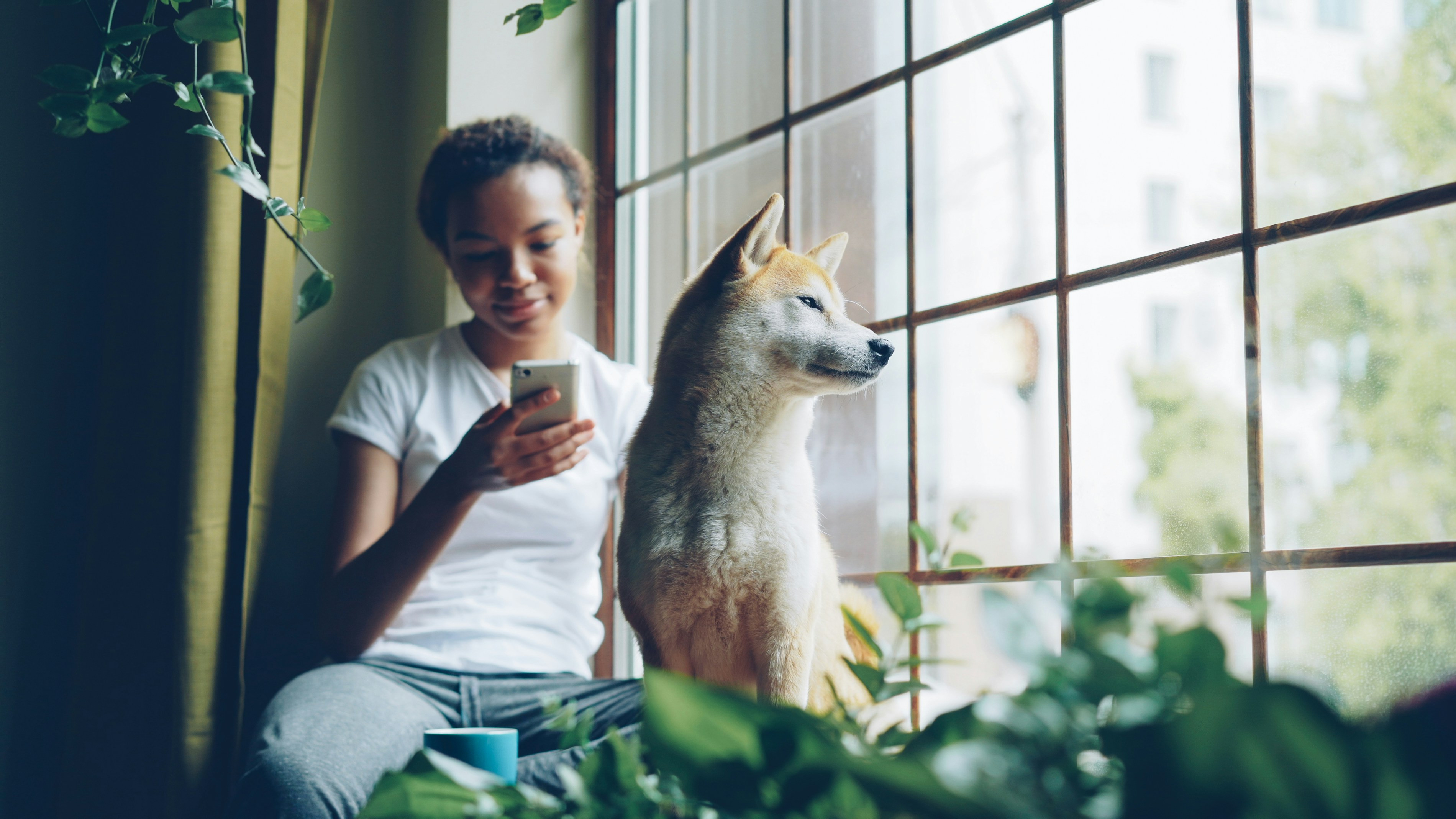 Person mit Hund und Smartphone am Fenster