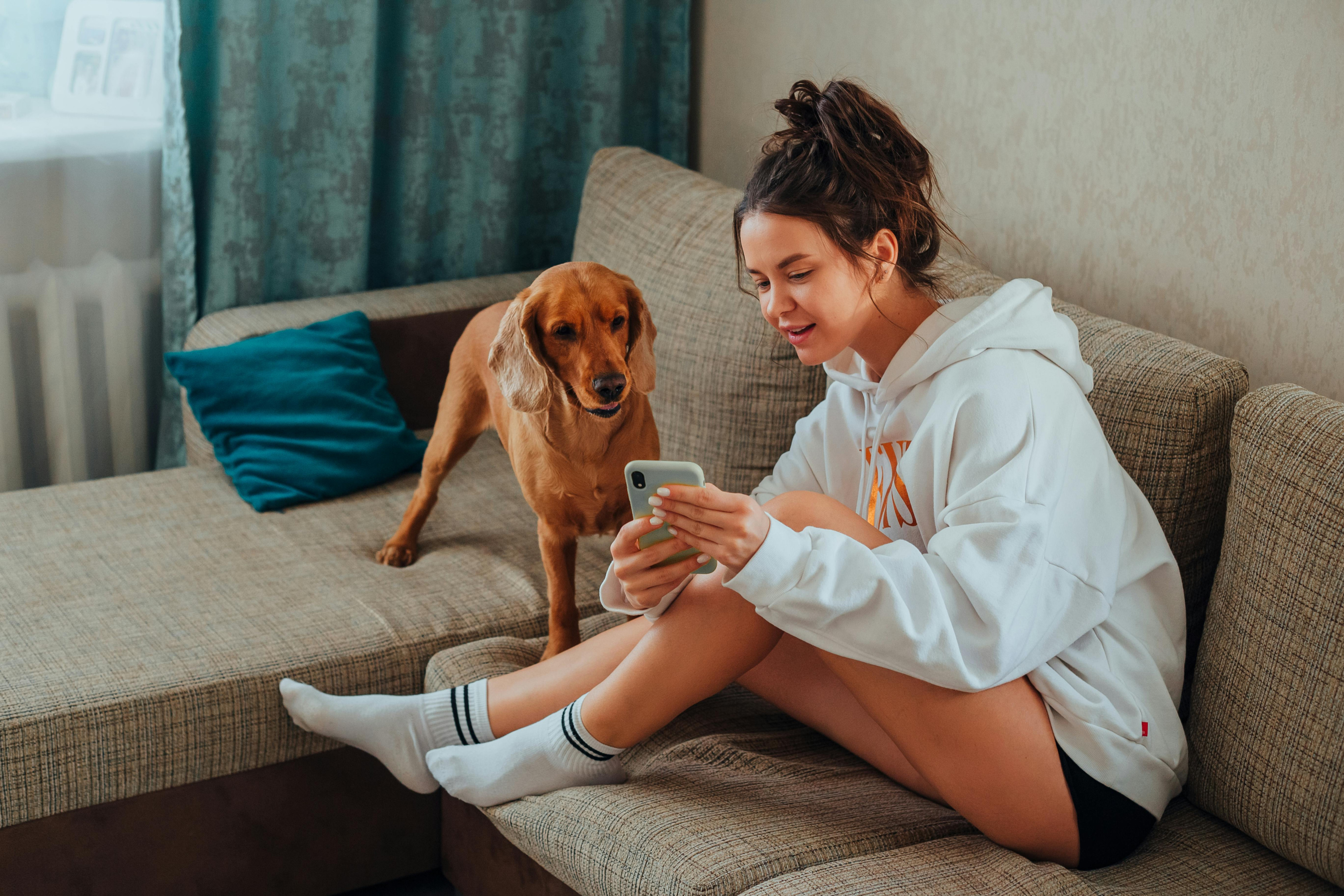Person mit Smartphone und Hund auf dem Sofa