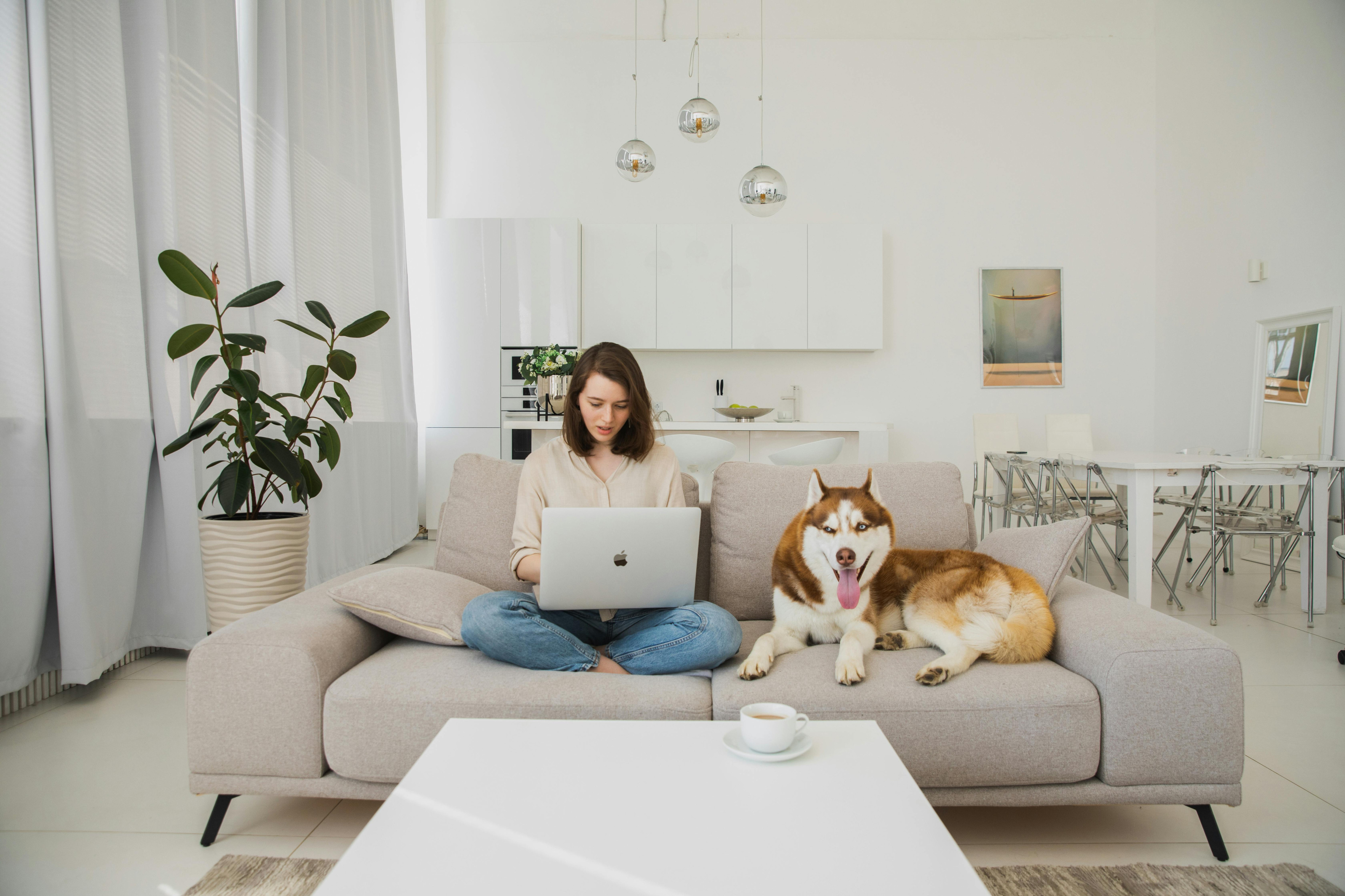 Person arbeitet mit Laptop auf Sofa neben Hund im Wohnzimmer