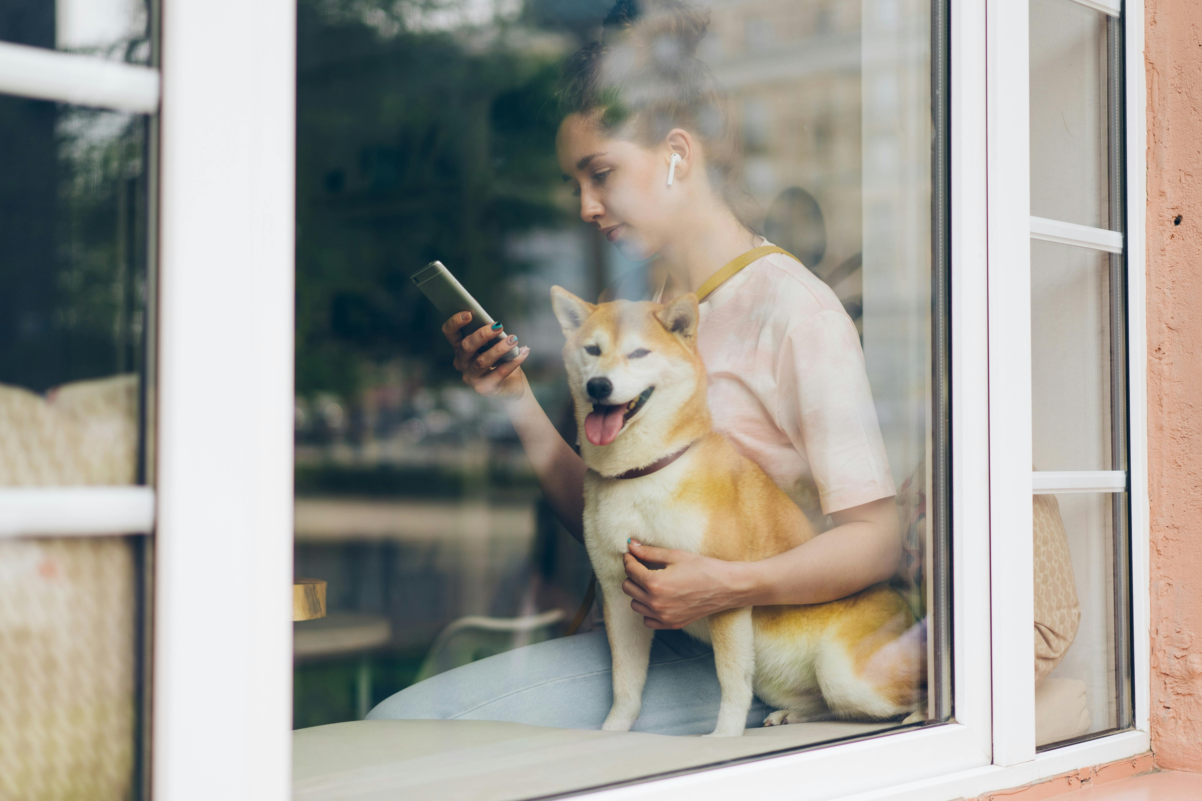 Hund sitzt auf dem Schoß einer Person mit Smartphone am Fenster