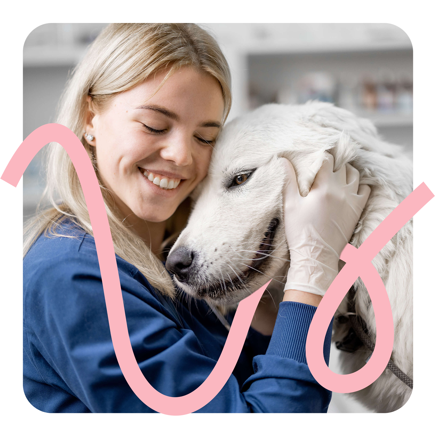 Tierärztin streichelt weißen Hund – Headerbild der Vecademy Startseite