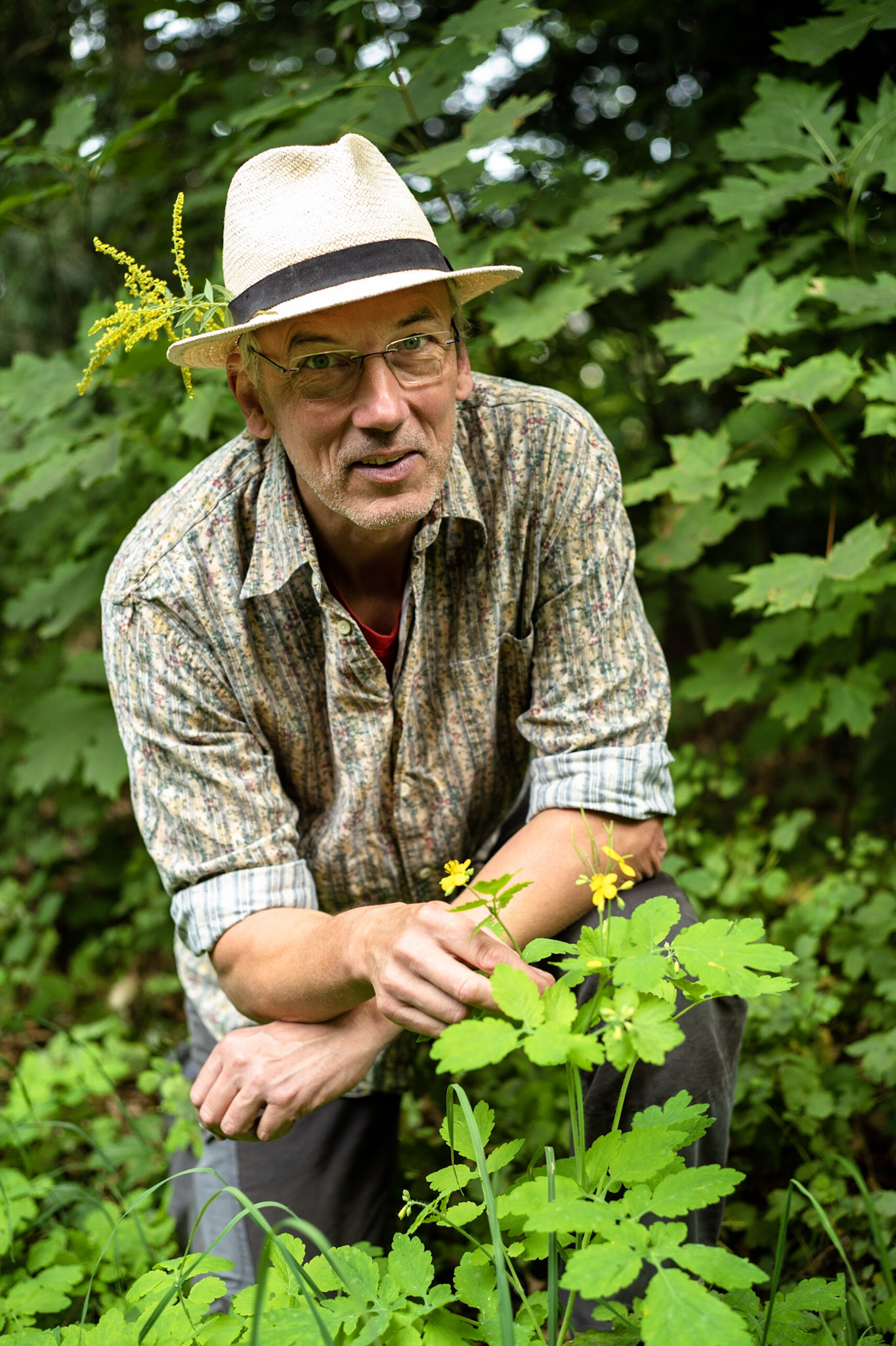 Andreas Brieschke in der Natur beim Bestimmen von Wildpflanzen