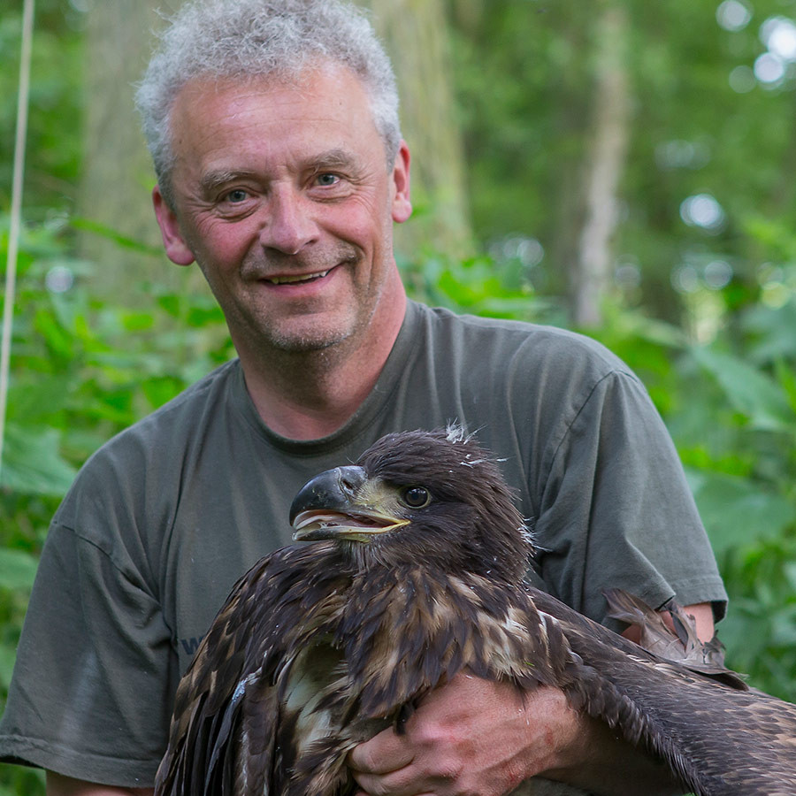 Mario Müller hält einen jungen Adler in einem Waldgebiet