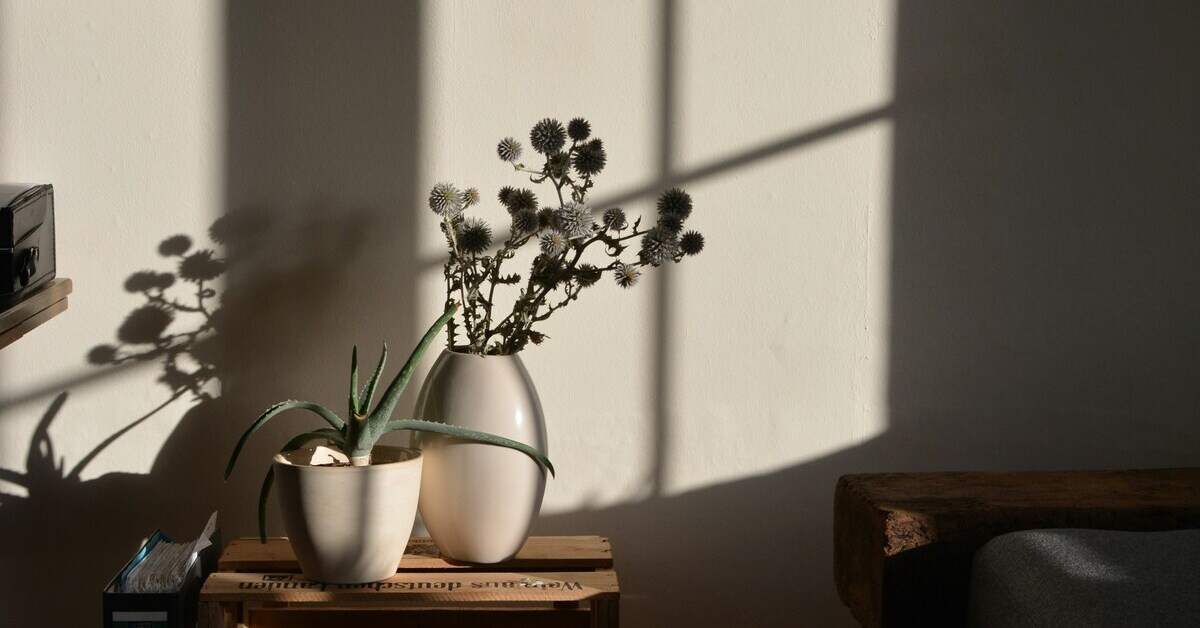 Licht und Schatten an der Wand mit Pflanzen in Vasen auf Holzkiste
