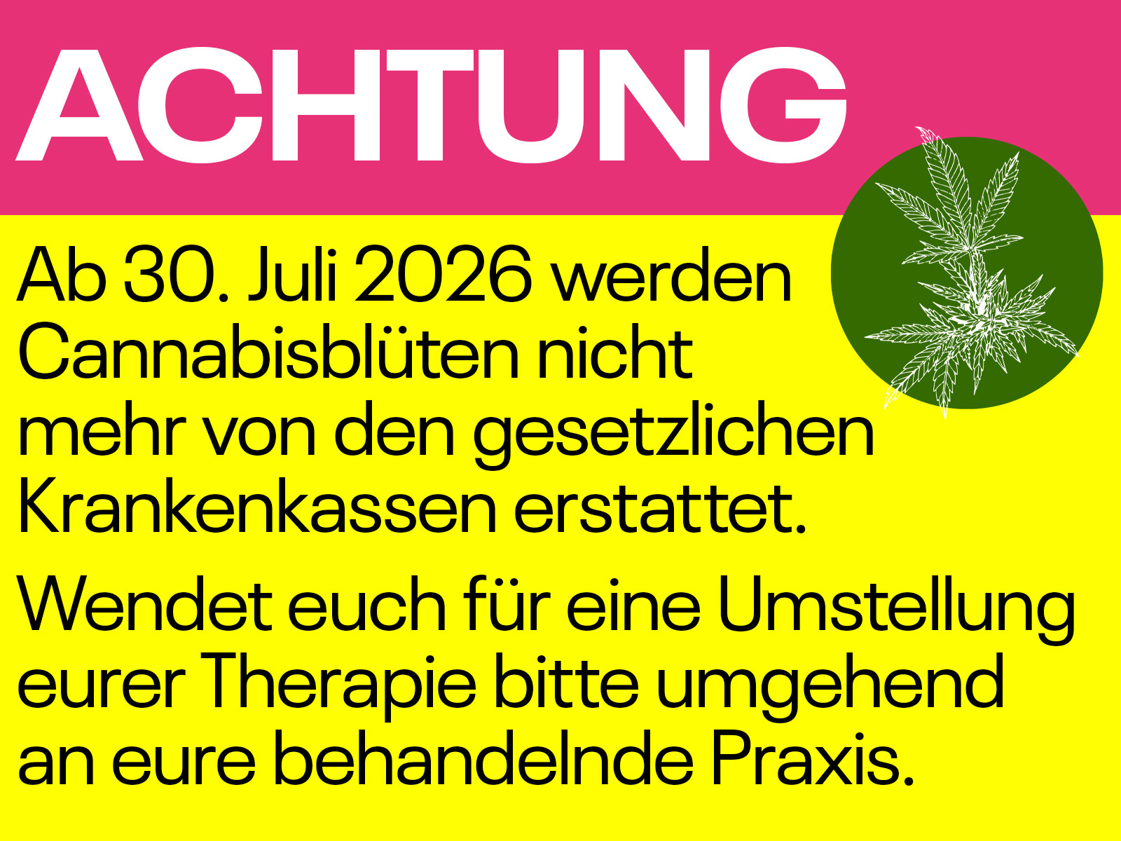 Achtung: Ab 30. Juli 2026 werden Cannabisblüten nicht mehr von den gesetzlichen Krankenkassen erstattet – Hinweis zur Umstellung der Therapie.