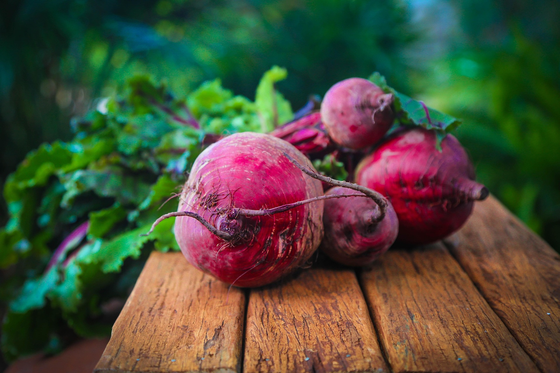 Frisches Gemüse – Rote Bete auf Holztisch im Garten