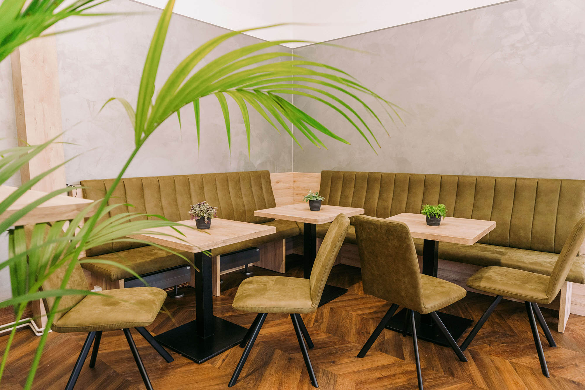 Modernes Café-Interieur mit grünen Polsterbänken, Holztischen und Pflanzen