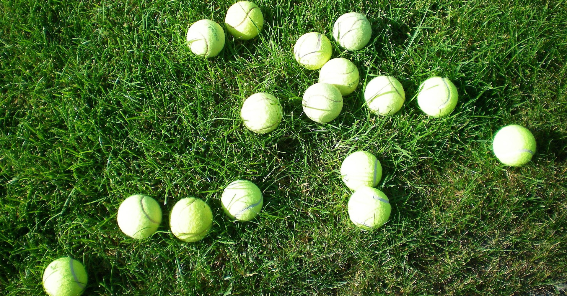 Mehrere Tennisbälle auf einer Wiese als Symbol für nachhaltige Sammelboxen und Recycling