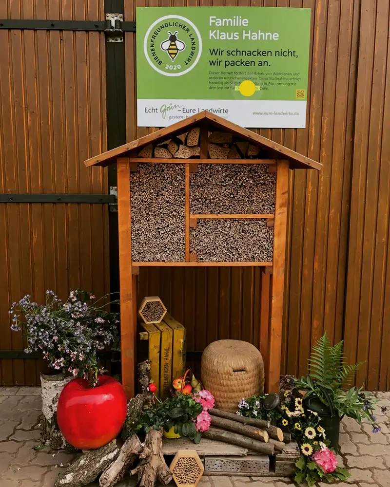Insektenhotel und Dekoration auf der Obstplantage Hahne mit Blumen, Bienenkorb und Apfel