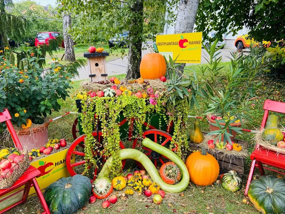 Herbstliche Veranstaltung auf der Obstplantage Hahne mit bunter Dekoration und Kürbissen Bunte herbstliche Dekoration mit Kürbissen und Obst auf einem Wagen bei einer Veranstaltung auf der Obstplantage Hahne