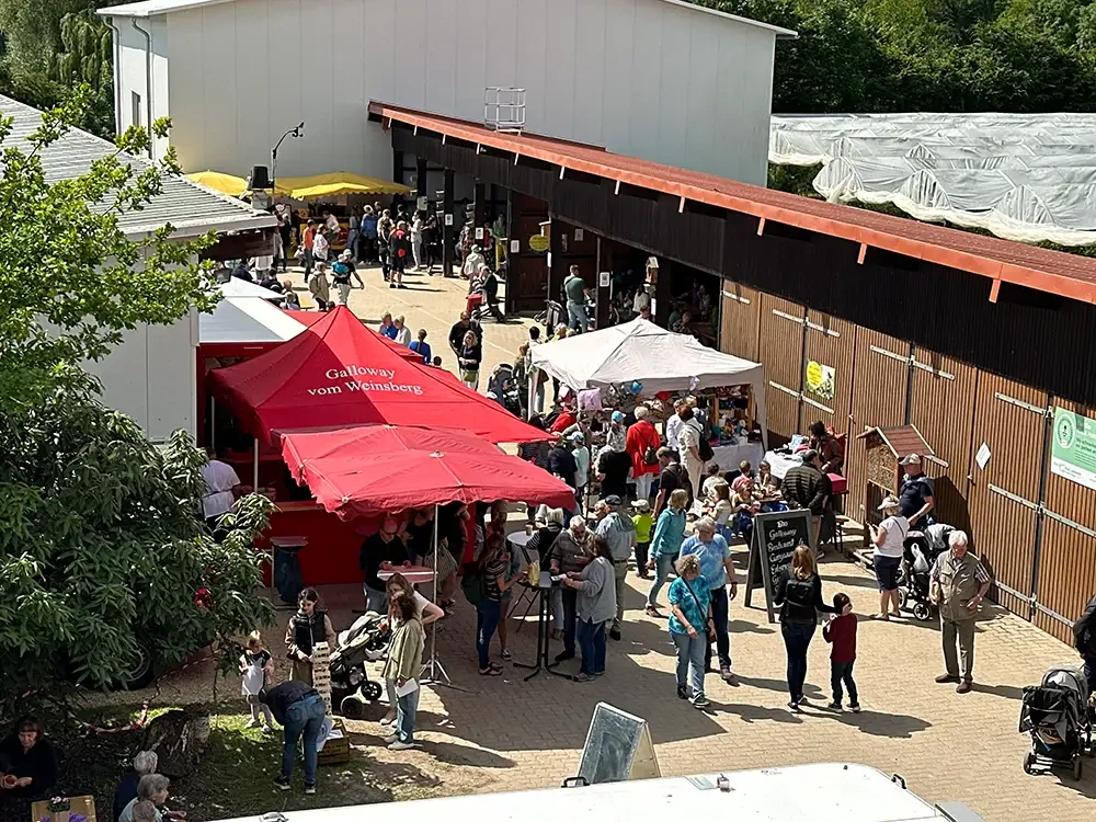Besucher auf einer Veranstaltung mit Marktständen