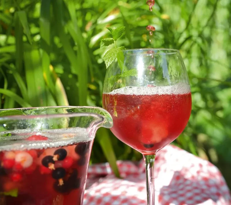 Beeren-Cocktail mit frischen Beeren und Minze im Sommergarten genießen Erfrischender Beeren-Cocktail im Glas mit frischen Beeren und Minze, serviert im Sommergarten