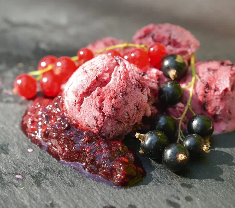 Johannisbeer-Eis – Rezept für fruchtiges Eis mit roten und schwarzen Johannisbeeren Hausgemachtes Johannisbeer-Eis mit frischen roten und schwarzen Johannisbeeren auf Schieferplatte