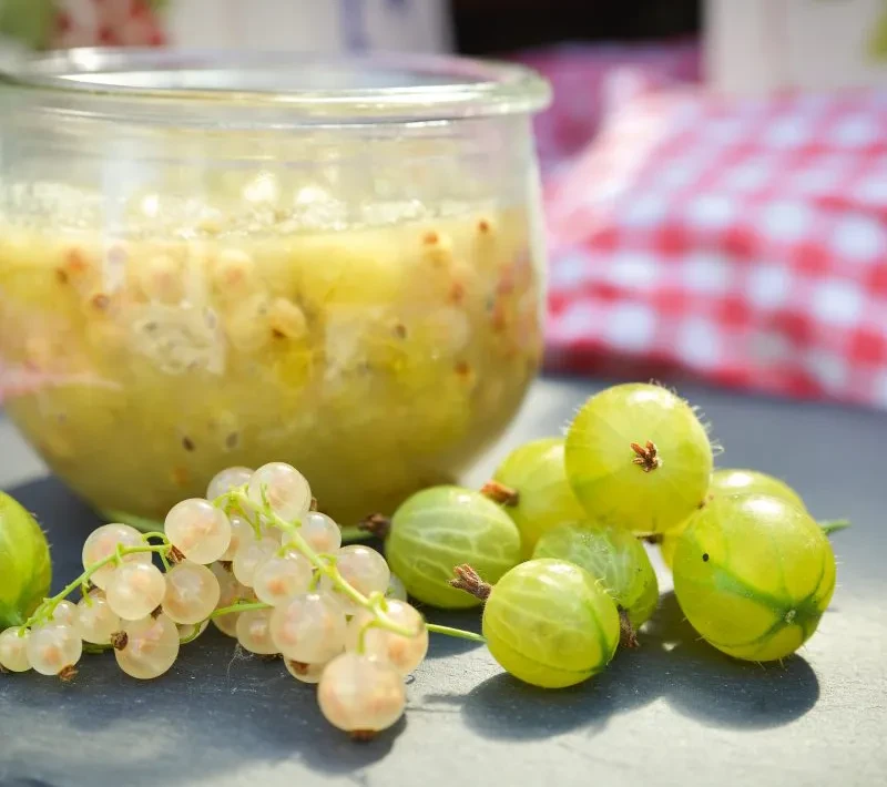 Stachelbeer-Grütze Rezept – Frische Stachelbeeren im Glas Stachelbeer-Grütze im Glas mit frischen Stachelbeeren auf einem Tisch