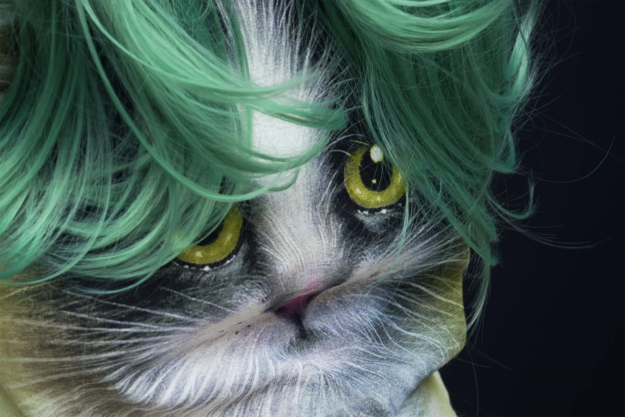 Beitrag Archiv Schnittstellen – kreative Darstellung einer Katze mit grünen Haaren