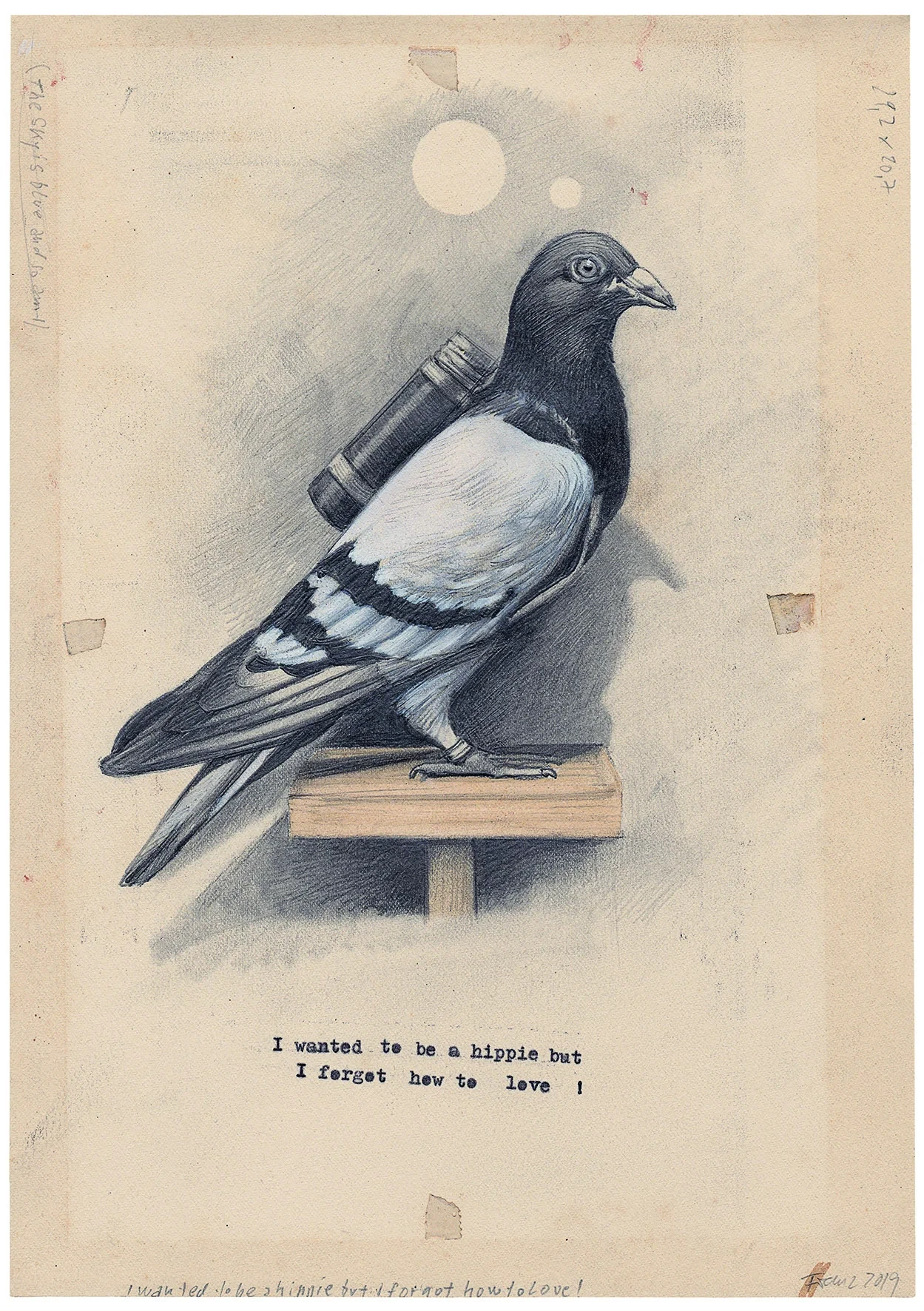 Illustration einer Brieftaube mit Nachrichtenzylinder von Franz Burkhardt, Beitrag Archiv