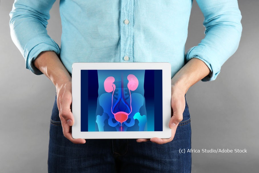Früherkennung von Prostatakrebs - was soll ich denn da? Prostata Hilfe Deutschland: Illustrationsbild für Früherkennung und Vorsorge - Prostataabbildung auf Tablet