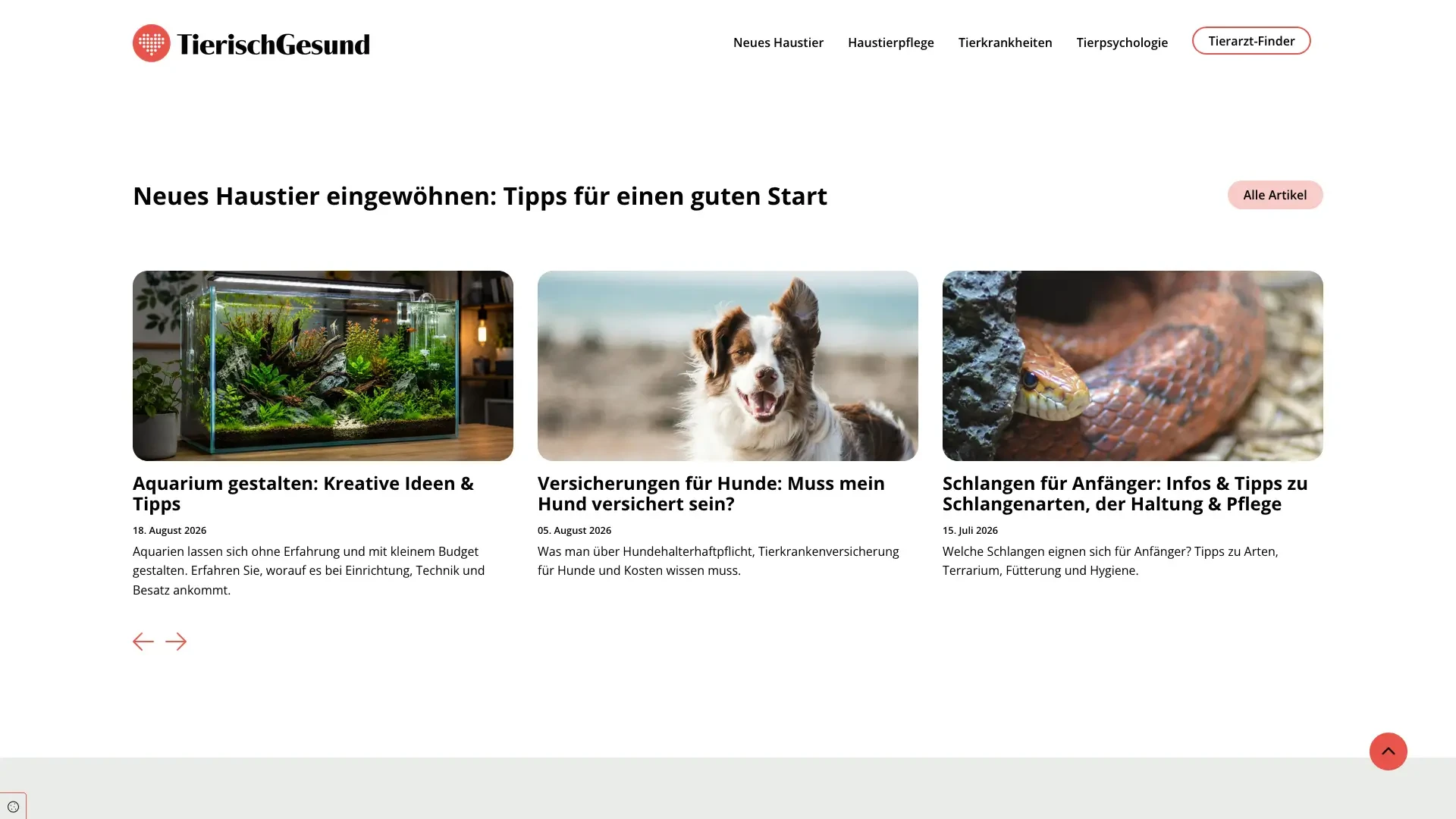 Screenshot der Startseite von tierischgesund mit Tipps zur Haustierpflege, Hunderversicherung und Schlangenhaltung