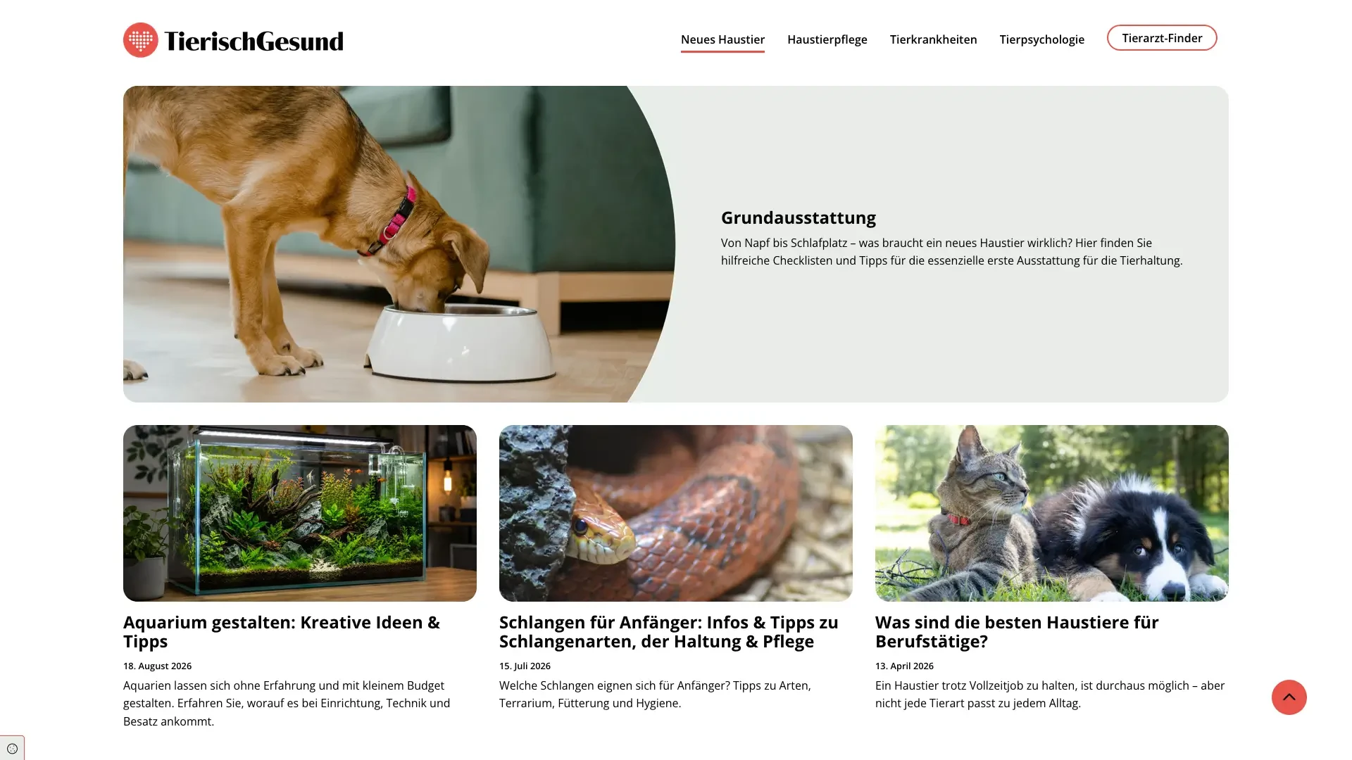 Screenshot der Webseite tierischgesund mit Tipps zur Haustierhaltung, Grundausstattung und Pflege von Hund, Katze und Schlange