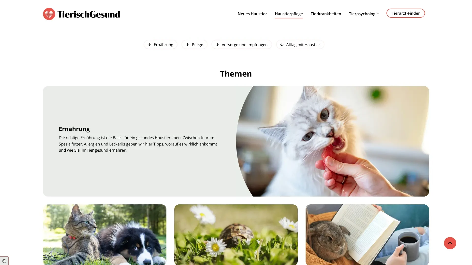 tierischgesund Themenübersicht zu Haustierpflege, Ernährung und Vorsorge mit Katze, Hund, Schildkröte und Kaninchen