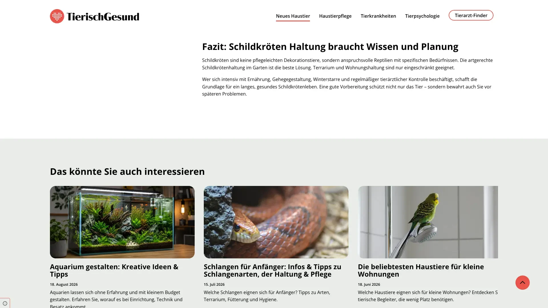 Screenshot der Website tierischgesund mit Informationen zur Schildkröten Haltung und weiteren Haustierthemen