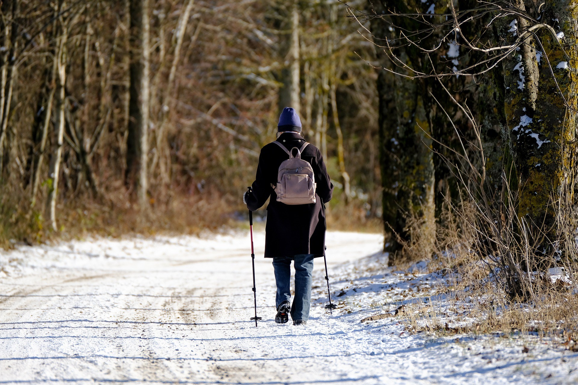 Immunsystem stärken: gesund durch Herbst und Winter