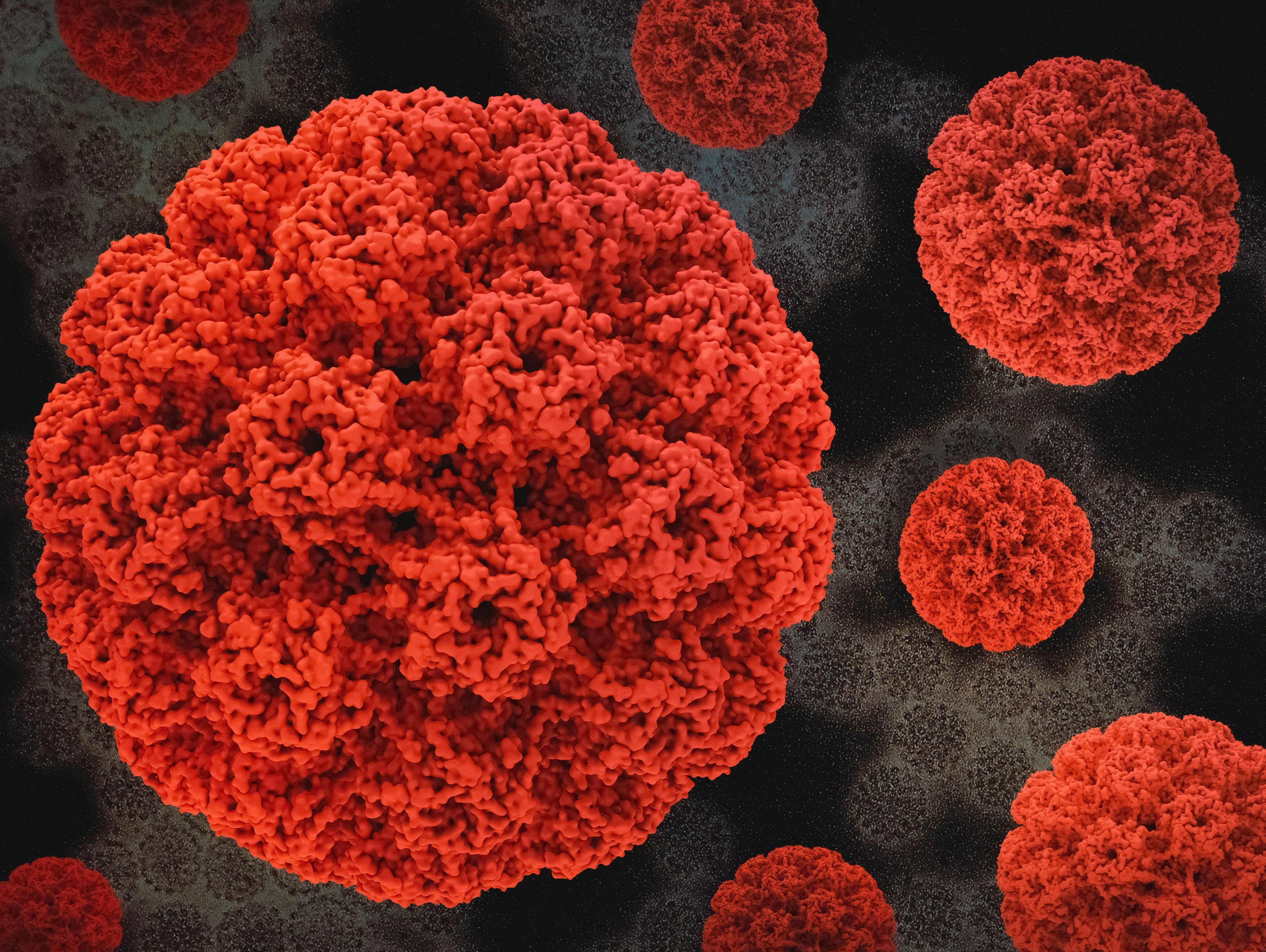 Ist es Krebs? Was ein positiver HPV-Test bedeutet
