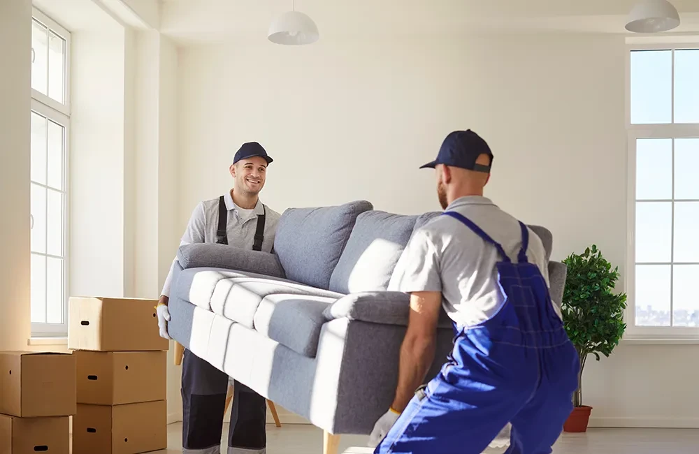 Zwei Männer liefern ein Sofa aus in einem hellen Raum