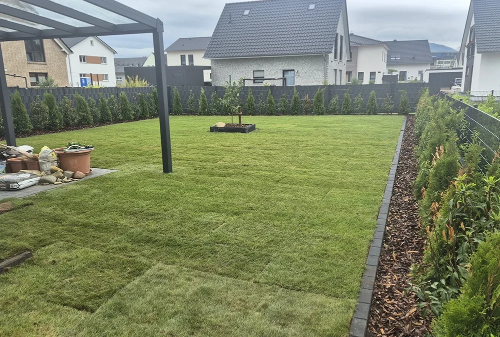 Frisch verlegter Rasen in einem modernen Garten mit Einfamilienhaus im Hintergrund