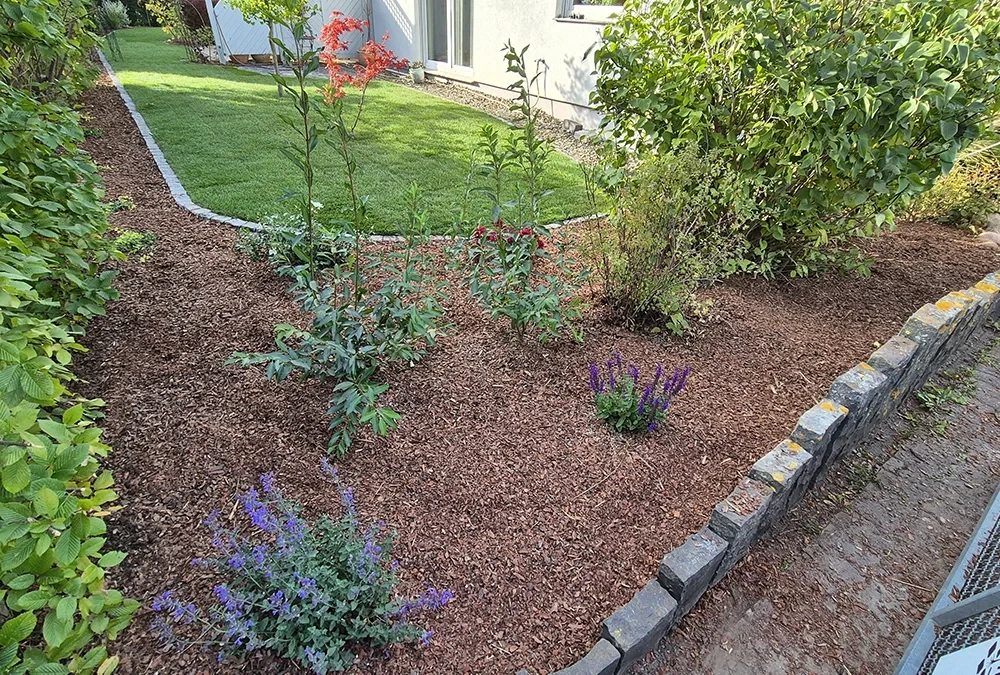 Beet im Garten mit frischer Rindenmulch-Abdeckung und verschiedenen Staudenpflanzen