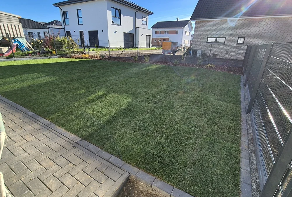 Frisch verlegte Rasenfläche im modernen Neubau-Garten mit angrenzender Terrasse und Einfamilienhäusern im Hintergrund
