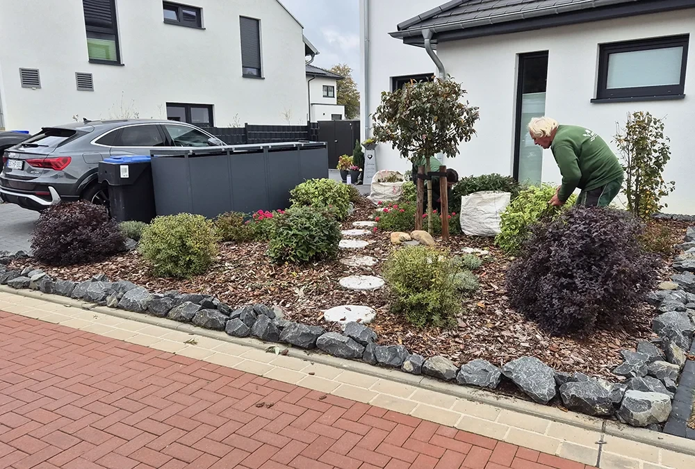 Gepflegter Vorgarten mit verschiedenen Sträuchern, Steinen und einer Person bei der Gartenpflege vor einem modernen Haus