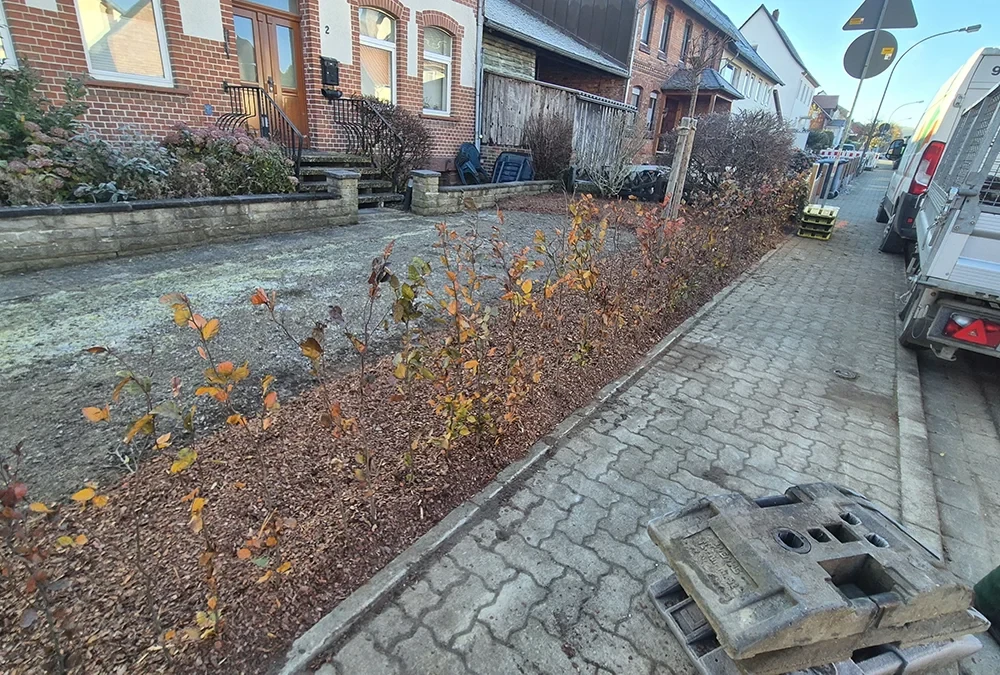 Gepflasterter Fußweg vor einem Wohnhaus mit junger Hecke und Vorgarten